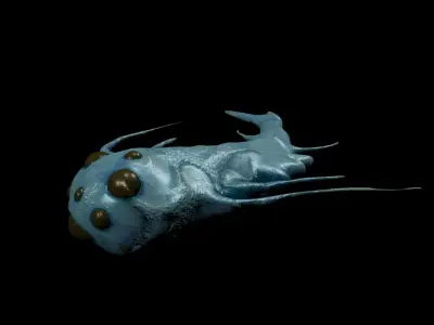 Quilles Microbe Organism Low-poly 3D model