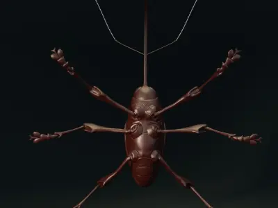 Chestnut Weevil or Curculio Elephas Low-poly 3D model