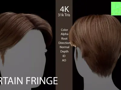 Curtain - Fringe Center - Part Hairstyle - Game Ready Hair Low-poly 3D model