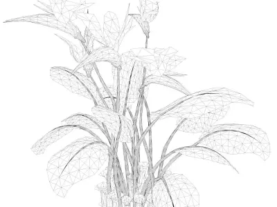 Bird of Paradise Flower - 07 - 3D model