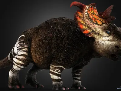 Pachyrhinosaurus dinosaur Low-poly 3D model