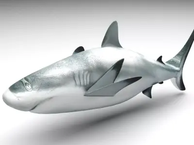 Shark 3D model