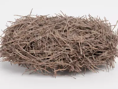 -Stork Nest- 3D model