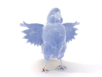 Vivid Parrot model pack Low-poly 3D model