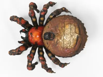 Spider Creature  3D model