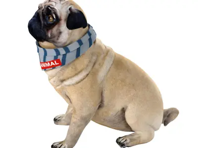 PUG - Dog 3D model