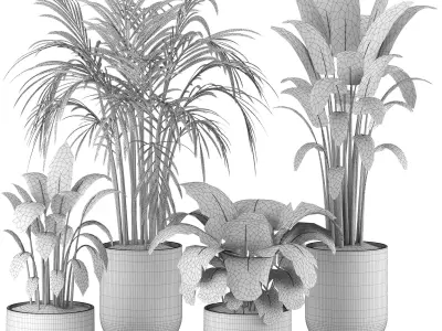 Indoor Plants in Ferm Living Bau Pot Large - Set025 3D model