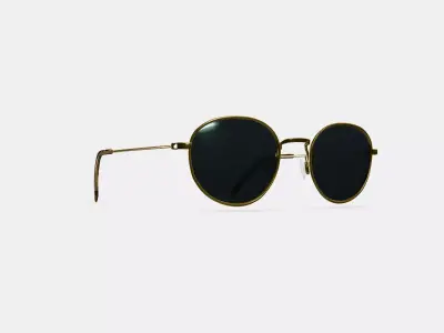 Rafael Sunglasses in Polished Gold 3D model