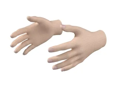 Female Hand Base Mesh 01 3D model