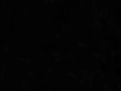 Cute Cartoon Rabbit Holding Carrot 3D Model Low-poly 3D model