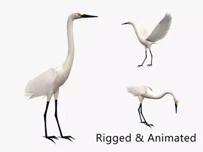 animated egret Low-poly 3D model