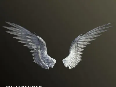 Pair of Bird  Wings 3DS Max Low-poly 3D model
