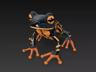 Frog Poisonous Realistic 3D Model Basic - Low Poly Realistic Low-poly 3D model