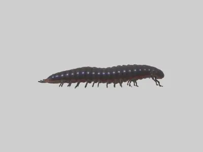 Desert Millipede Low-poly 3D model