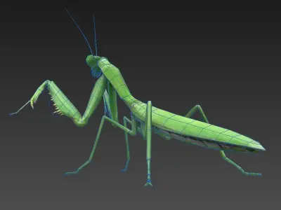 mantis insect Low-poly 3D model