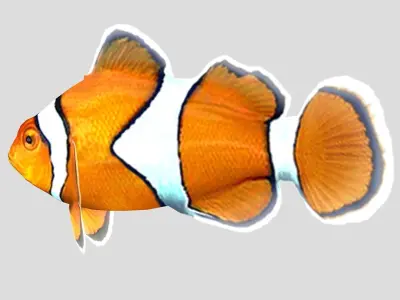 Clownfish Tropical Fish Low-poly 3D model