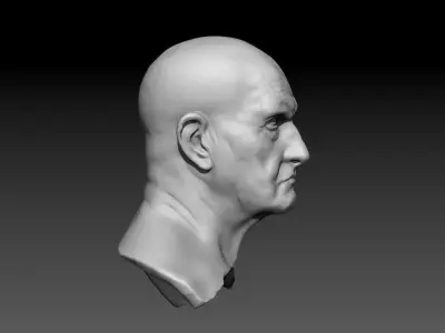 Bust of Man 3D print model