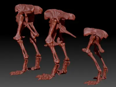 Dinosaur Spinosrs Tyrannosaurus Giganotosaurus HipLeg Skeletons 3D model