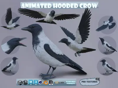 Realistic Animated Hooded Crow Low-poly 3D model
