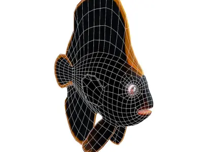 Red Aced Bat Animated Fish  Low-poly 3D model