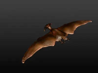 3d model of pterosaur 3D model