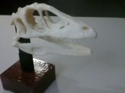 Animatronic Dinosaur Skull Free 3D print model