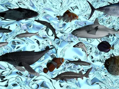 Water Animals In Water 3D model