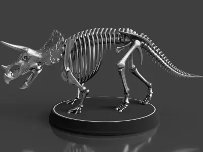 Silver Triceratops Skeleton for Visualization 3D model