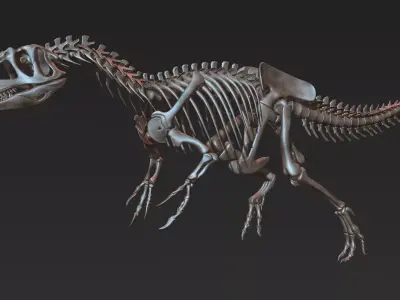 Allosaurus skeleton model Low-poly 3D model