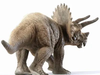 Triceratops dinosaur Low-poly 3D model