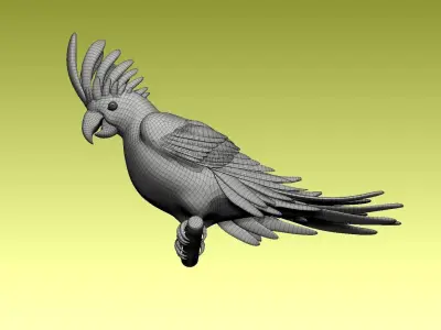 parrot cacadu 3D model