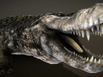 Purussaurus Low-poly 3D model