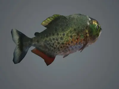 piranha fish monster amazon salmon river sea  3D model