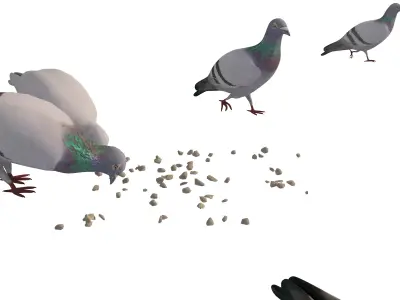 Animated White Dove  Low-poly 3D model