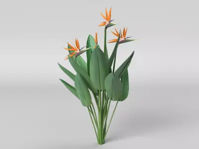 Bird of Paradise 3D model