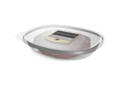 Dried meats Prosciutto Ham 3D model