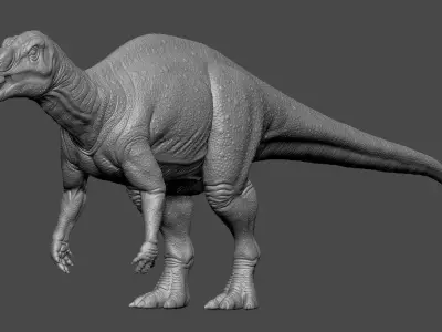 Muttaburrasaurus Dinosaur 3D model