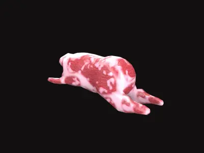 Pig V01 Low-poly 3D model