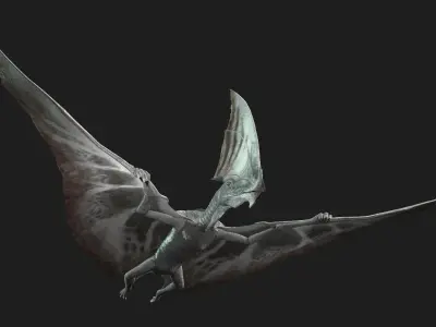 Dinos Flying 3D model