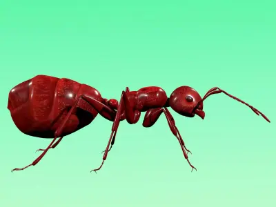 Red Ant Rig Low-poly 3D model