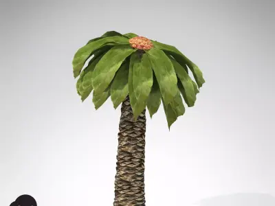 XfrogPlants Bjuvia 3D model