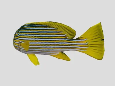 Ribbon sweetlips Low-poly 3D model