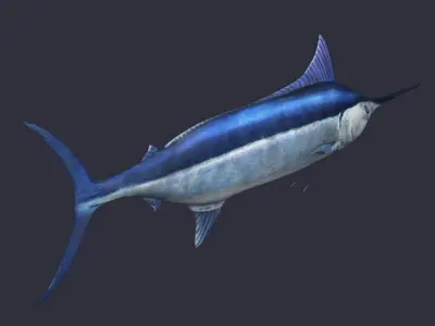 swordfish marlin ocean sea fish swim fast 3D model