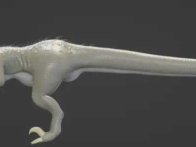 Female velociraptor 3D model