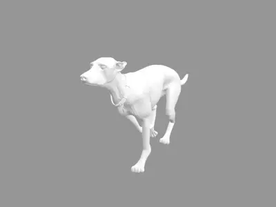 Running greyhound 3D model