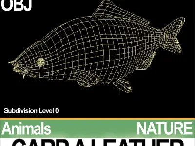 Carp A Leather 3D model