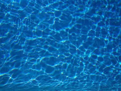 Headquarters island with grass and bird Free 3D model