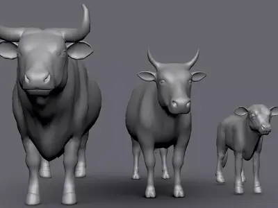 Cow Family Bull Cow Calf Topology UV Map Free low-poly 3D model