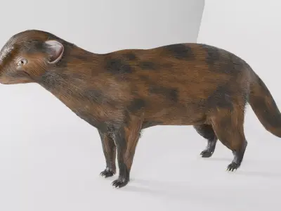 mangus 3d Low-poly 3D model