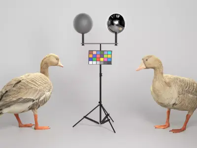 Goose 19 Low-poly 3D model